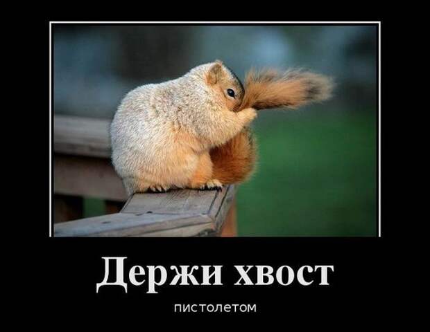 Демотиваторы (30 фото) Демотиваторы (30 фото)