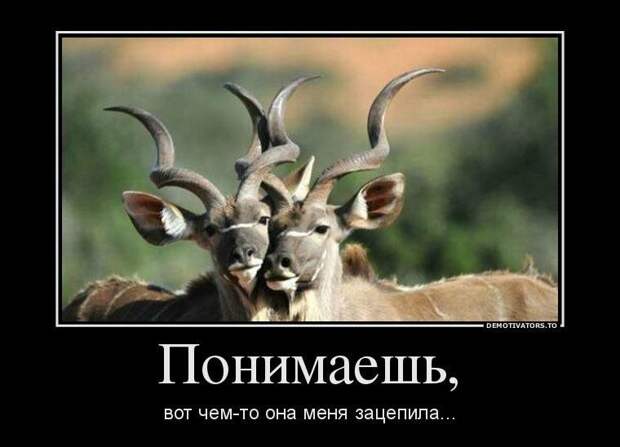 Демотиваторы демотиваторы