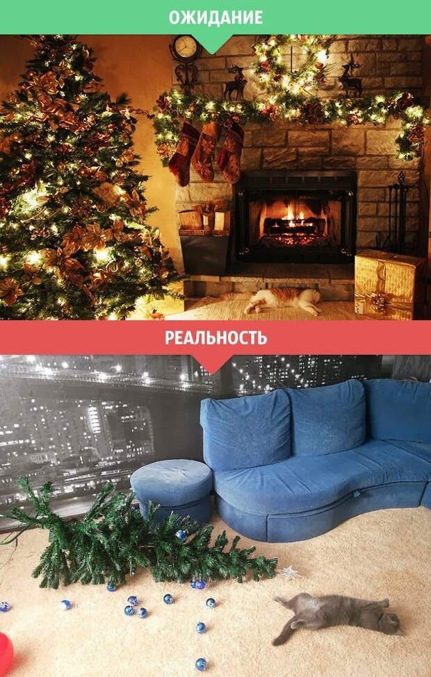 Новогодние ожидания и реальность