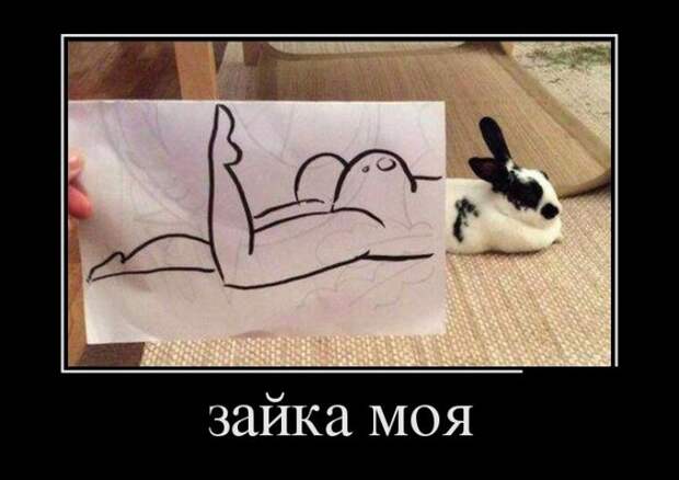 Демотиваторы (30 фото)