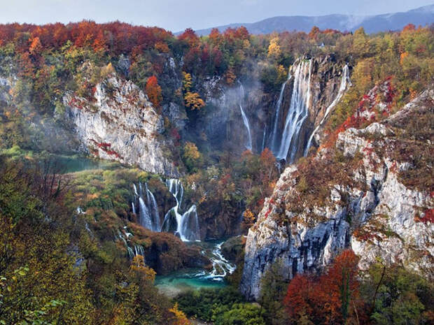 Лучшие снимки National Geographic 2015