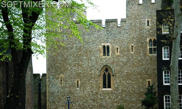 DSC_1411_web