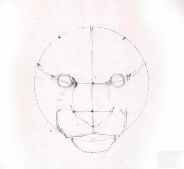 Как нарисовать пуму поэтапно