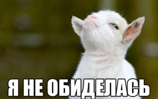 В эфире - свежие фото-приколы (40 шт)