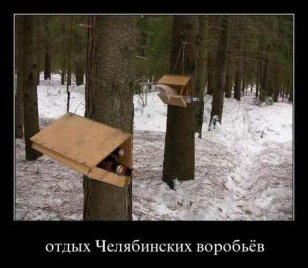 Демотиваторы приколы к выходным.