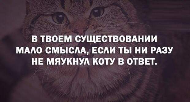 Мудрейшие цитаты