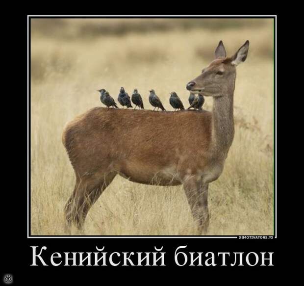Счастливо жить не запретишь! 2