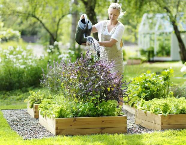 Секреты успешного летнего садоводства: план по месяцам