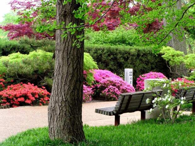 Японский сад (90) (700x525, 400Kb)