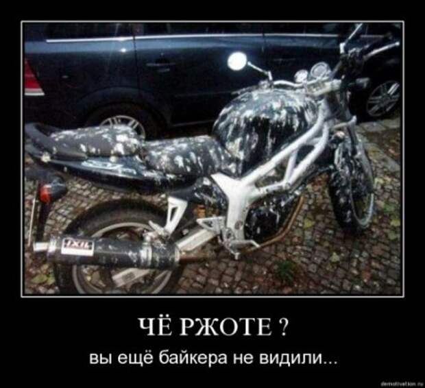 Новейшие демотиваторы все юморные.
