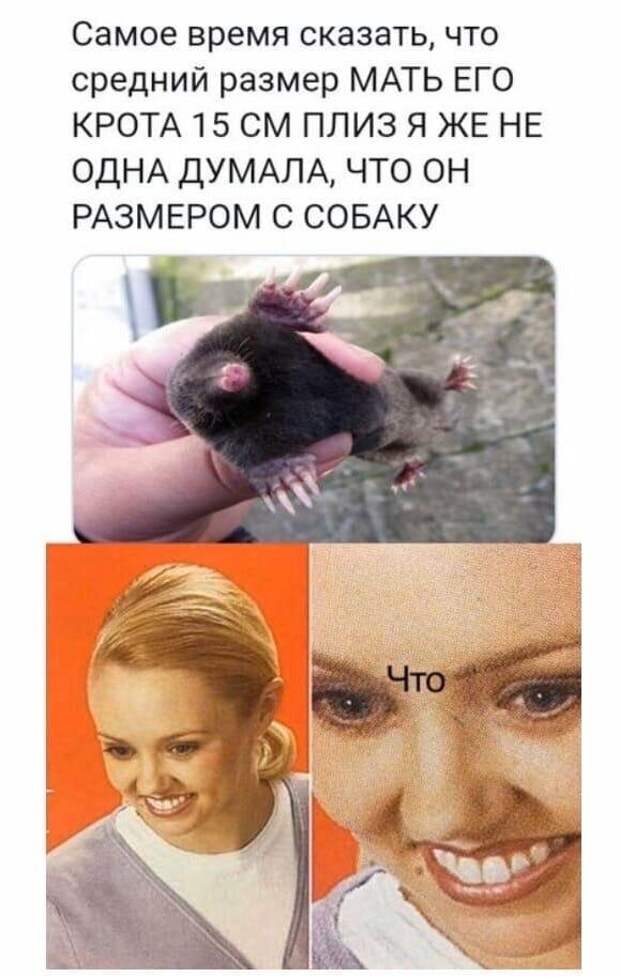 Истинные размеры, о которых вы, скорее всего, не догадывались
