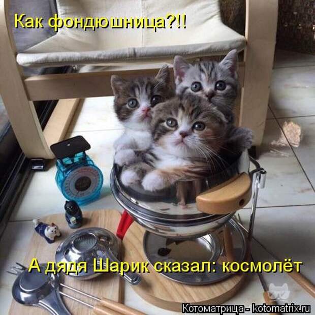 Котоматрица: Как фондюшница?!! А дядя Шарик сказал: космолёт