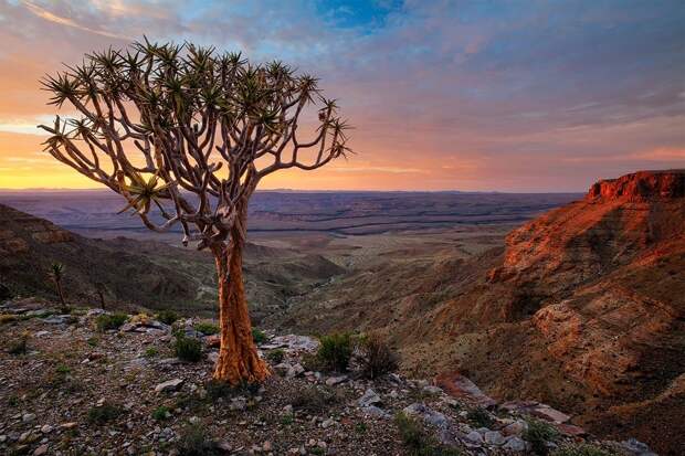 Namibia24 Фантастические пейзажи Намибии