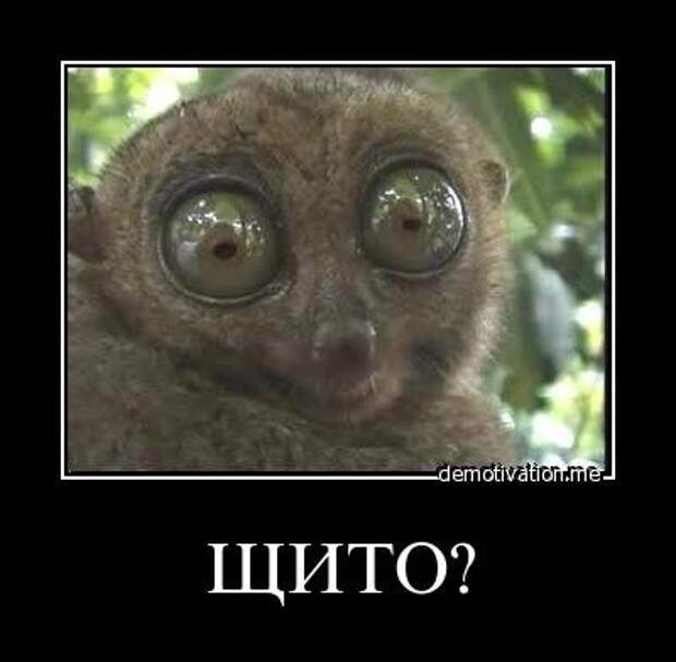 Демотиваторы, много новых и только прикольных.