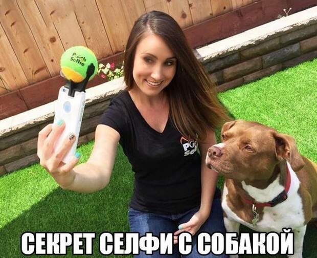 Картинки с надписями для настроения картинки с подписями, подборка, позитив, юмор