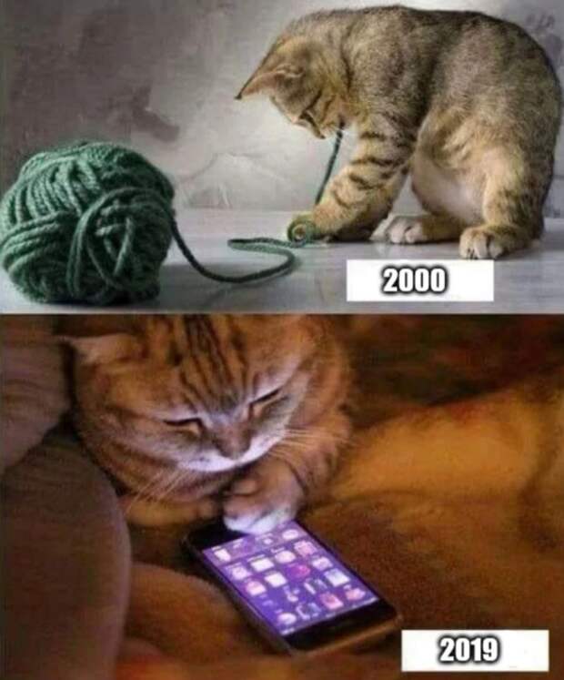 www.vsyako.net