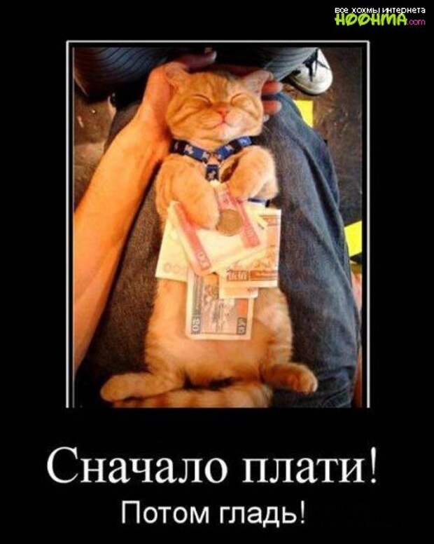 Действительно качественные демотиваторы