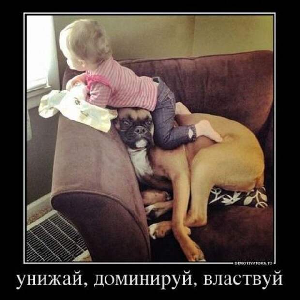 Доминируй, властвуй, унижай!