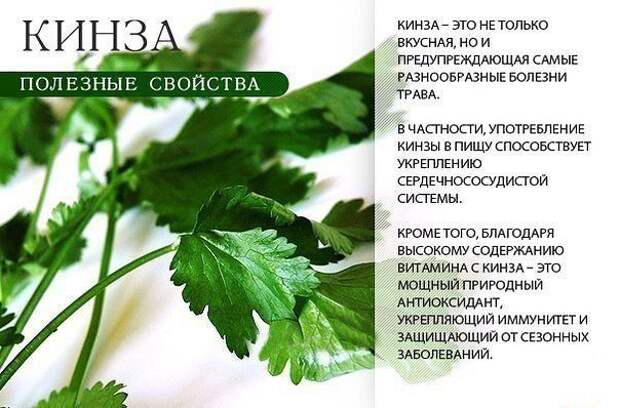 ПОЛЕЗНЫЕ СВОЙСТВА. Лайфхак, ПОЛЕЗНЫЕ СВОЙСТВА, факты