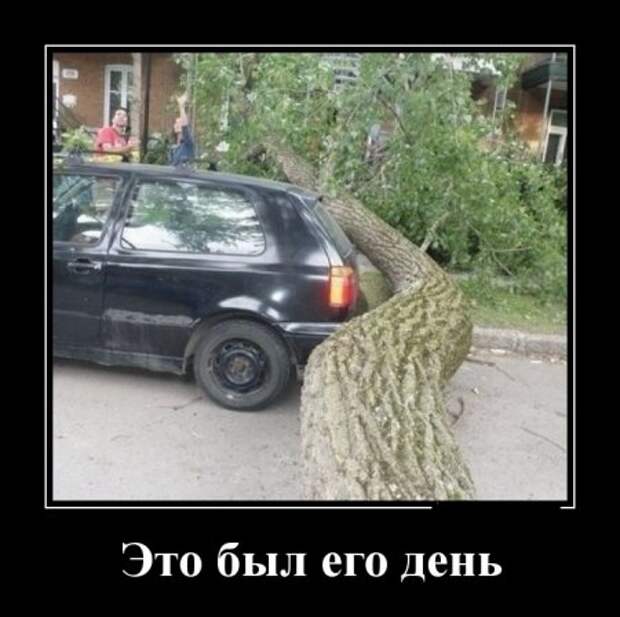 Для нас прикольные демотиваторы.