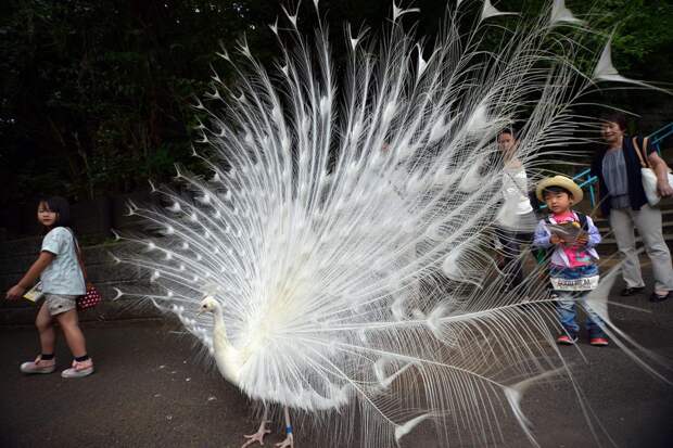 Фотоподборка за 04.06.2014 интересное, фото