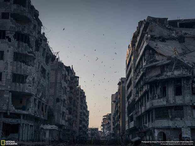 лучшие снимки фотоконкурса National Geographic 2014 сирия