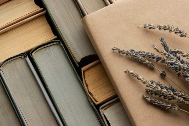 «Недо-» или «не до»: как не ошибиться в правописании