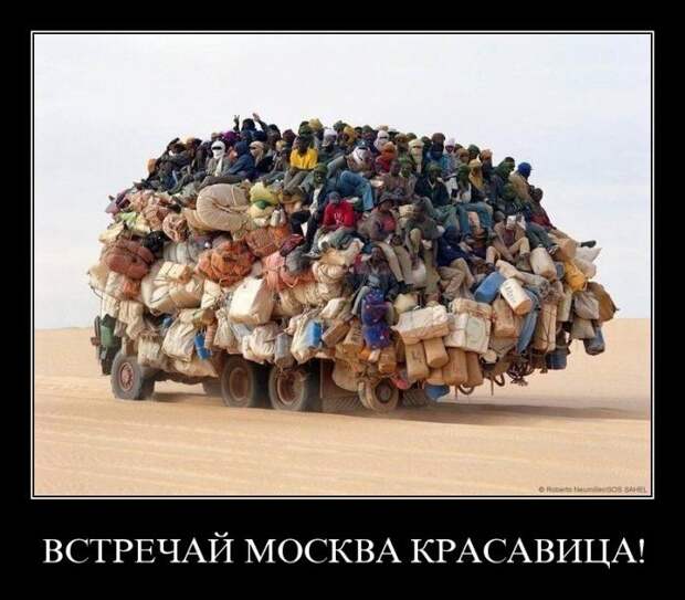 Демотиваторы (133 картинки)
