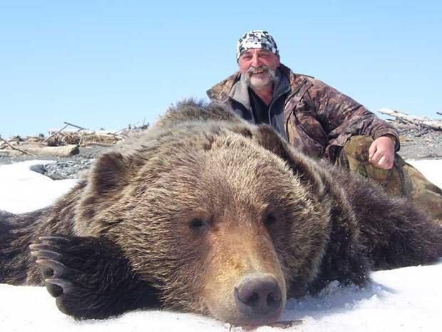 Более 400 медведей добыли вологодские охотники