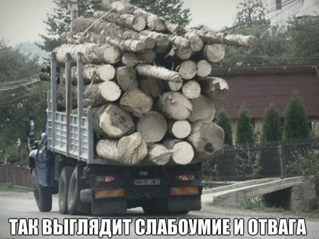 Автомобильный юмор