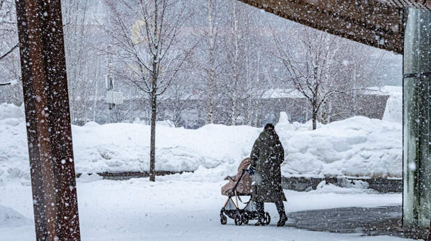 Мишустин рассказал о плюсах снежных зим в России