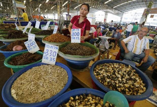 Как в Таиланде разводят съедобных насекомых (11)