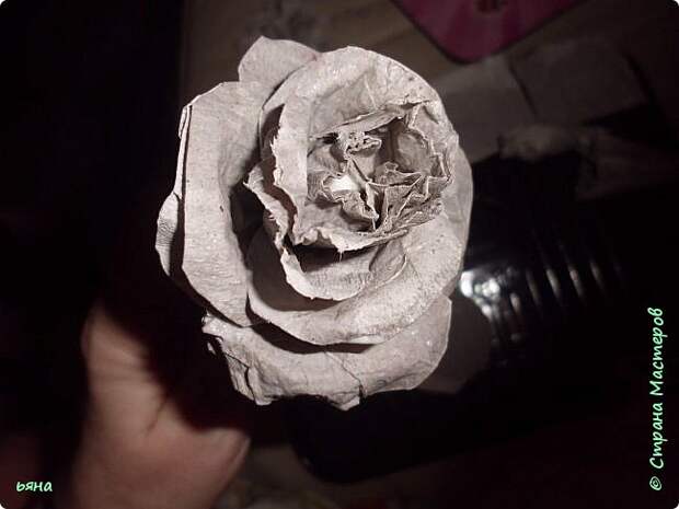Мастер-класс Бумагопластика Кованая роза из туалетной бумаги Бумага Диски ватные Клей Краска Проволока фото 11