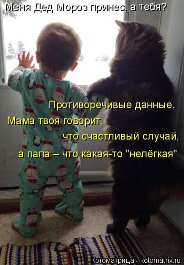 Кошкоматрицы.
