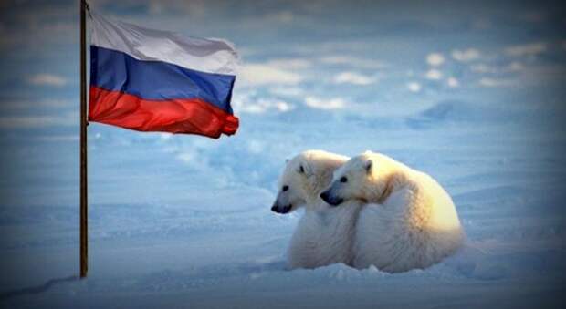 Россия-Арктика