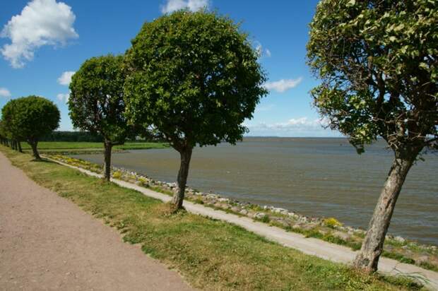 Поездка в Питер Санкт - Петербург, питер, фото отчет