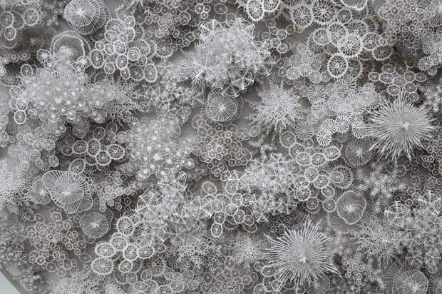 Бумажная микробиология Рогана Брауна (Rogan Brown) Бумажная микробиология Рогана Брауна (Rogan Brown)