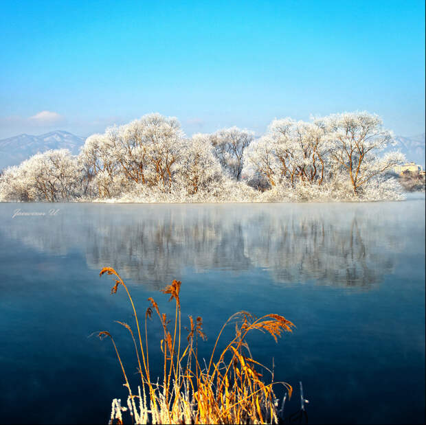 Фотография Frost on trees автор Jaewoon U на 500px