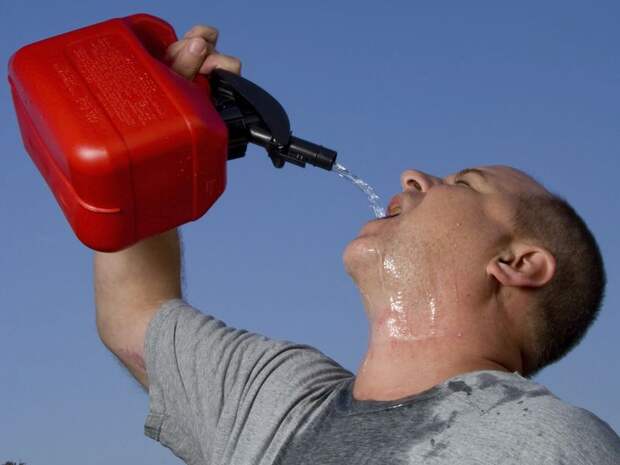 bizzarefood04 10 необычных  продуктов питания