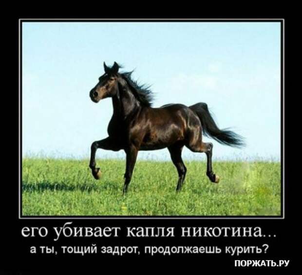 Хотели демотиваторов? Это есть у нас!