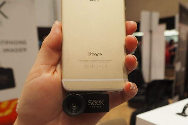 seek-1_002