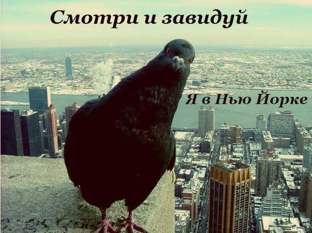 Всяко - разно 12 )))