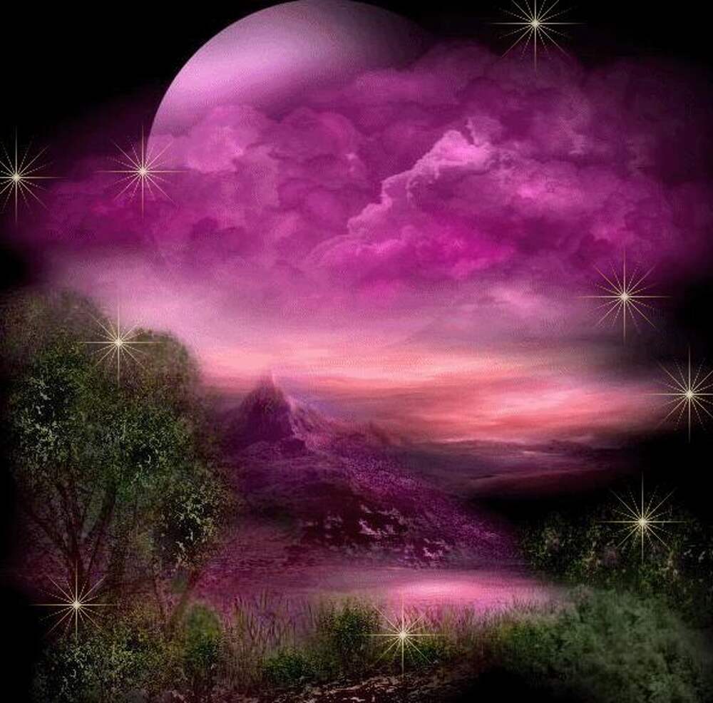 Фиолетовый рай