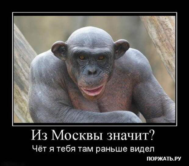 Прикольные демотиваторы (часть 1)