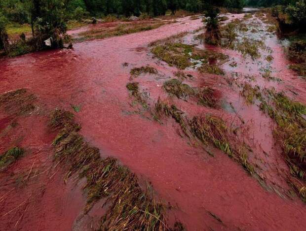 Река Ингулец в Кривом Роге окрасилась в красный цвет после разрушения дамбы Карачуновского водохранилища