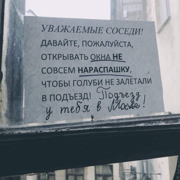 Весёлые объявления (6)