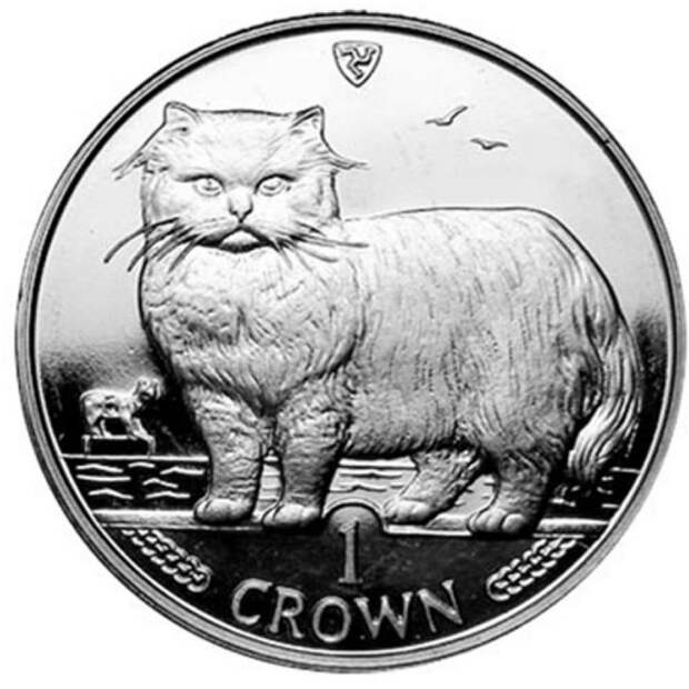 Картинки по запросу монета с котом