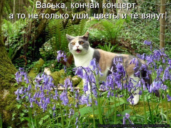 Мысли вслух :)