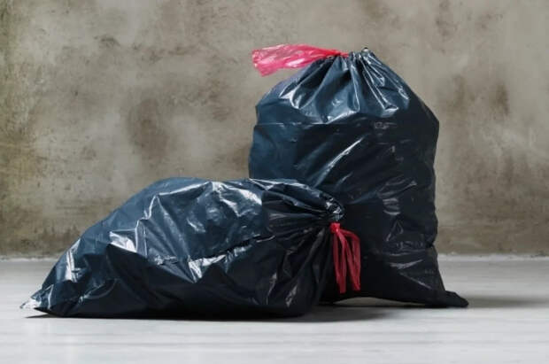 В Италии мужчина научил собаку выкидывать мусор, чтобы избежать штрафа