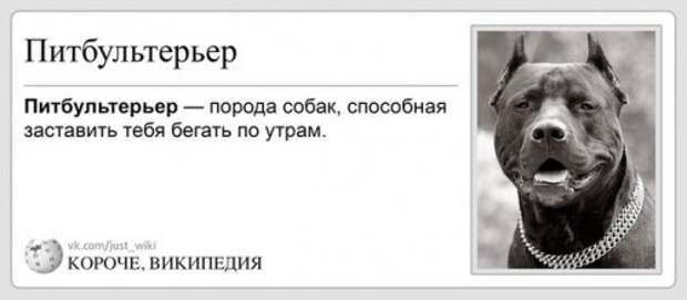 Короче, Википедия (29 фото)